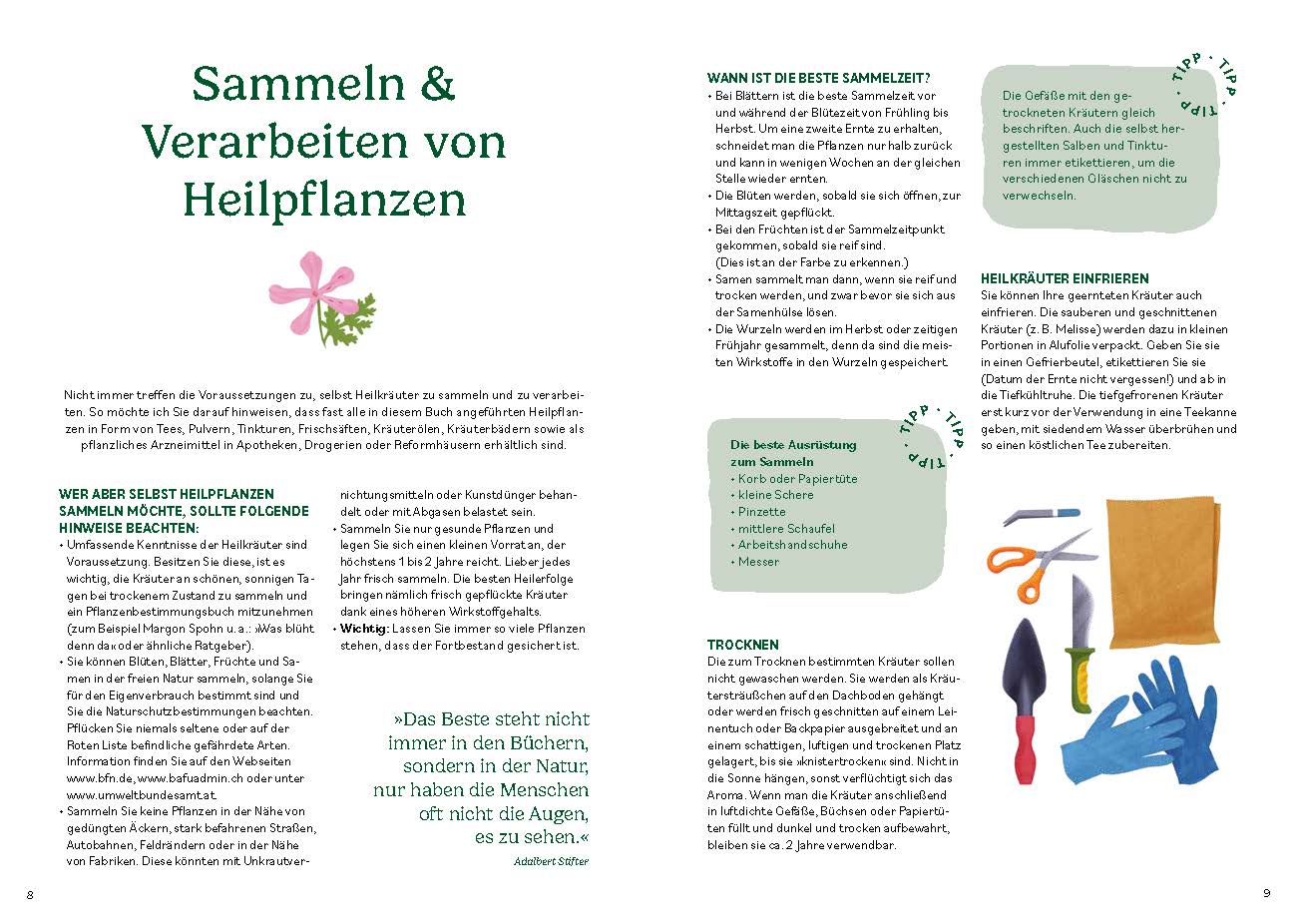 Heilen mit pflanzlichen Antibiotika