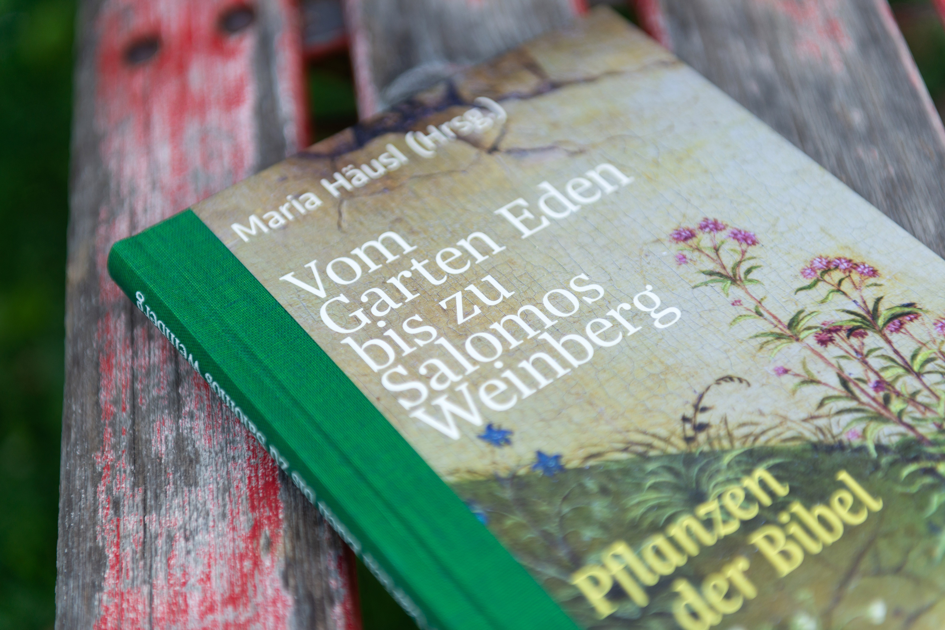 Vom Garten Eden bis zu Salomos Weinberg Vom Garten Eden bis zu Salomos Weinberg