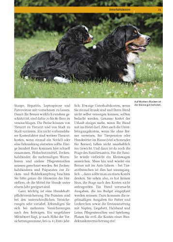 Berner Sennenhund Berner Sennenhund