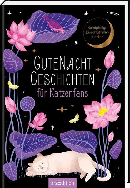 Gutenachtgeschichten für Katzenfans