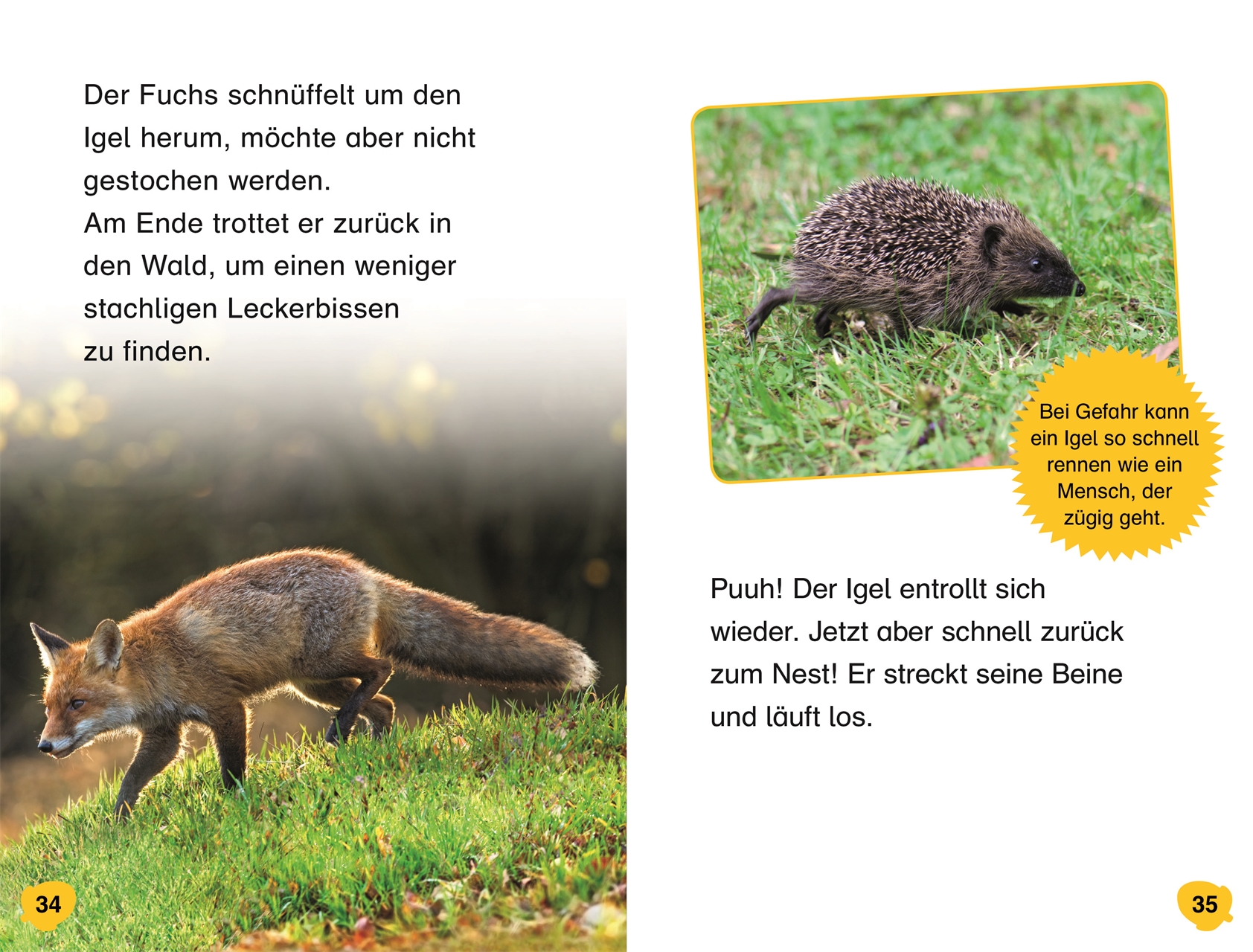 SUPERLESER! Hallo, Igel! SUPERLESER! Hallo, Igel!