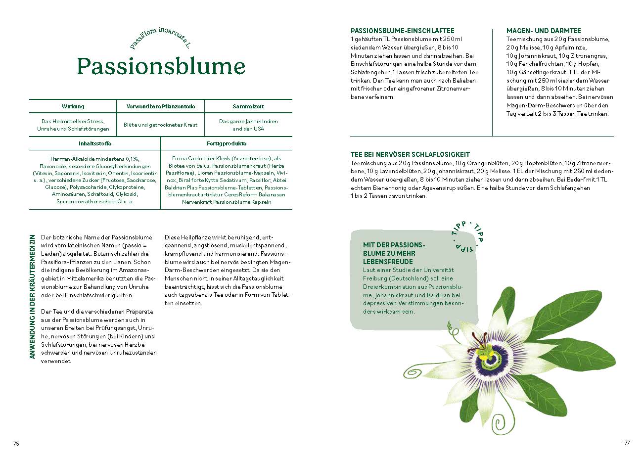 Heilen mit pflanzlichen Antibiotika