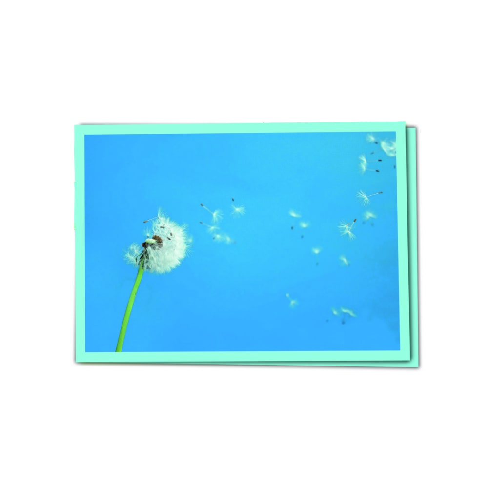 Bedürfnisorientierte Pädagogik in Kita, Hort und Schule