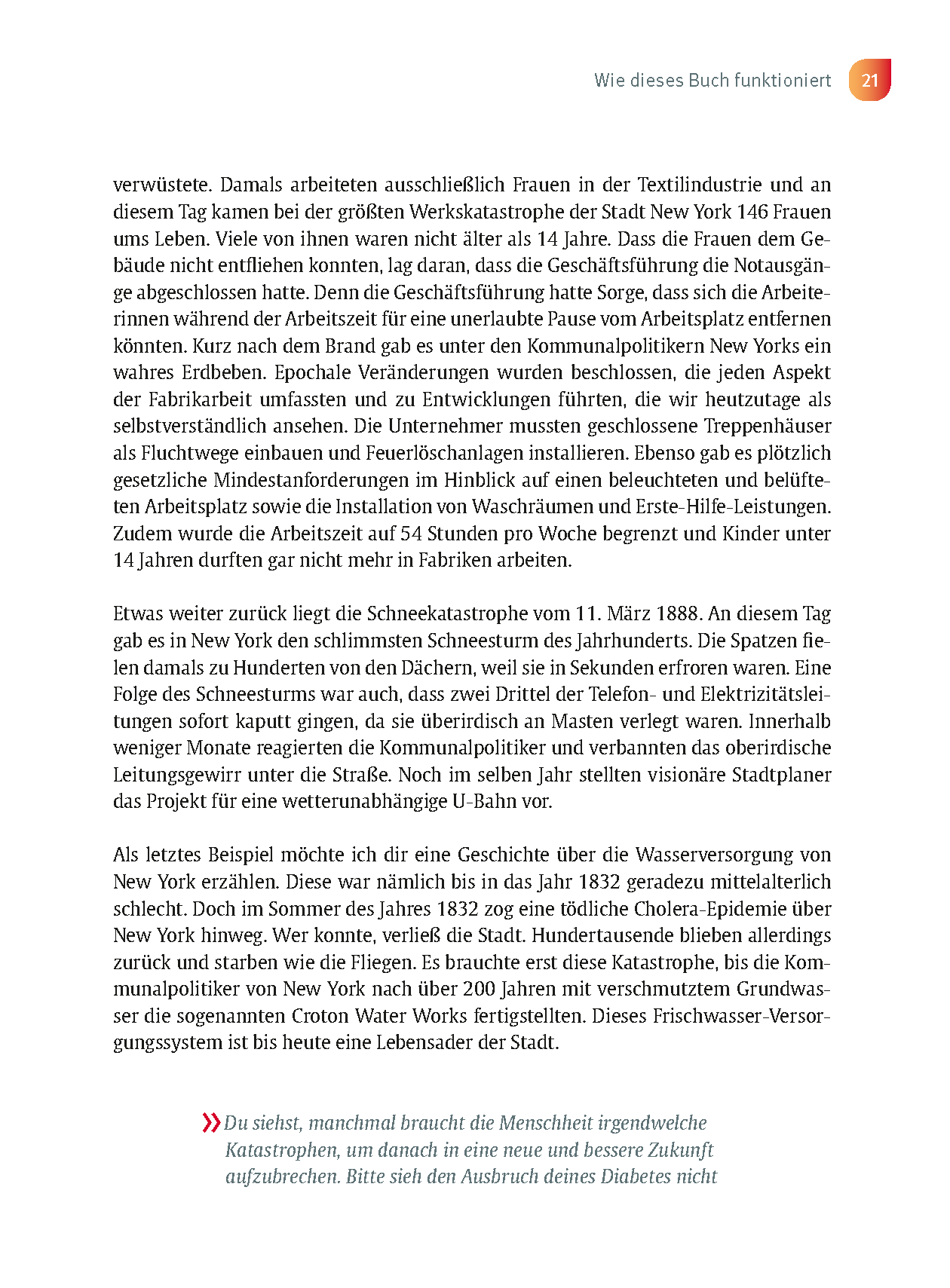 Der Anti-Diabetes-Plan - Das Praxisbuch