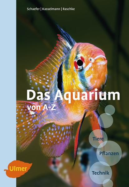 Das Aquarium von A-Z
