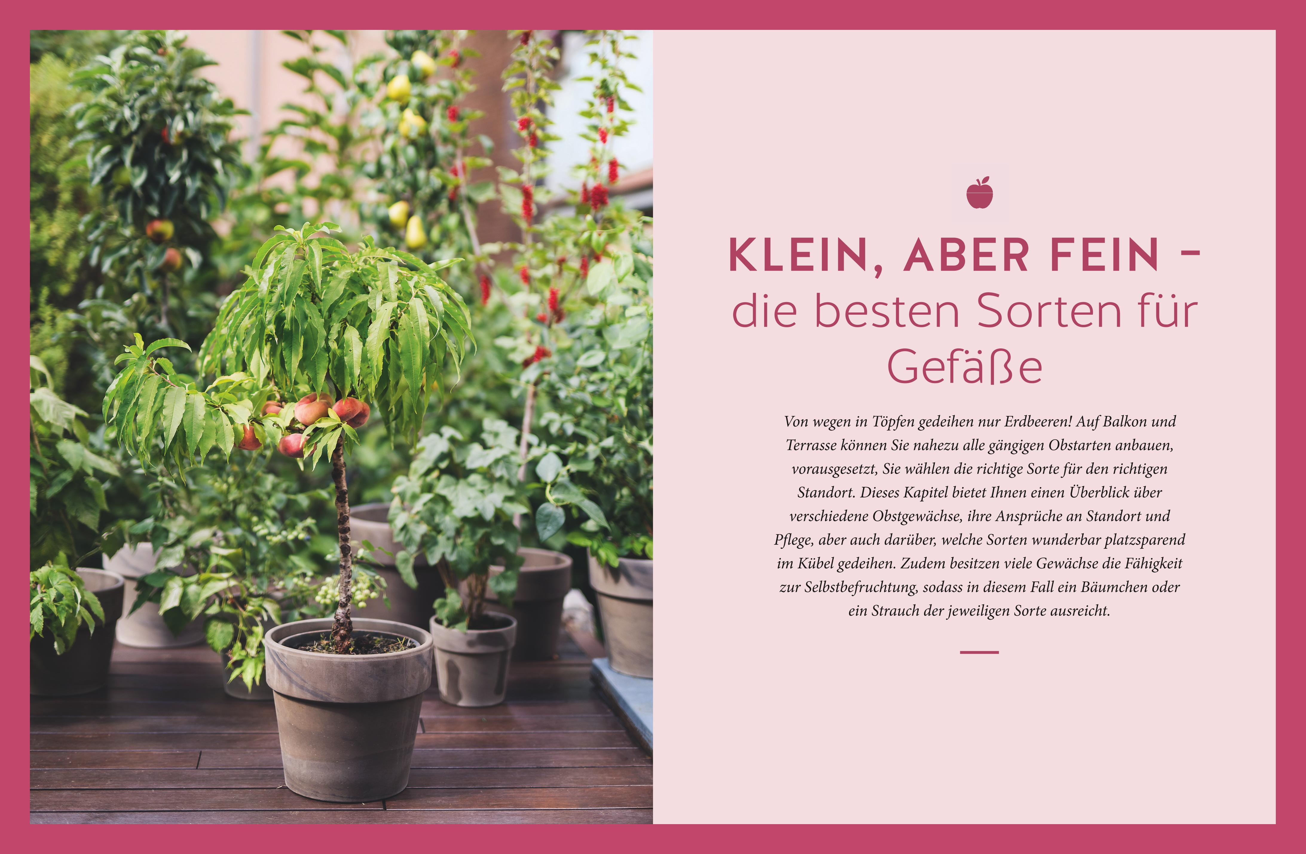 Mein City-Obstgarten Mein City-Obstgarten