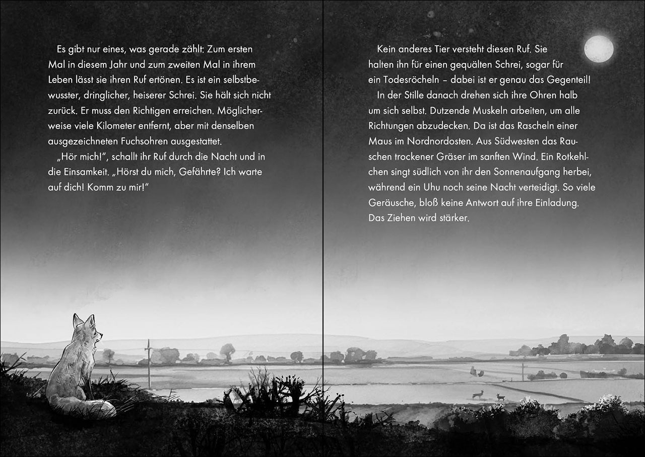 Das geheime Leben der Tiere (Wald) - Stadt der Füchse