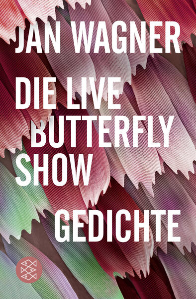 Die Live Butterfly Show