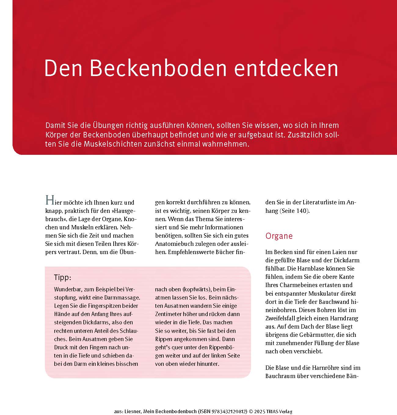 Mein Beckenbodenbuch