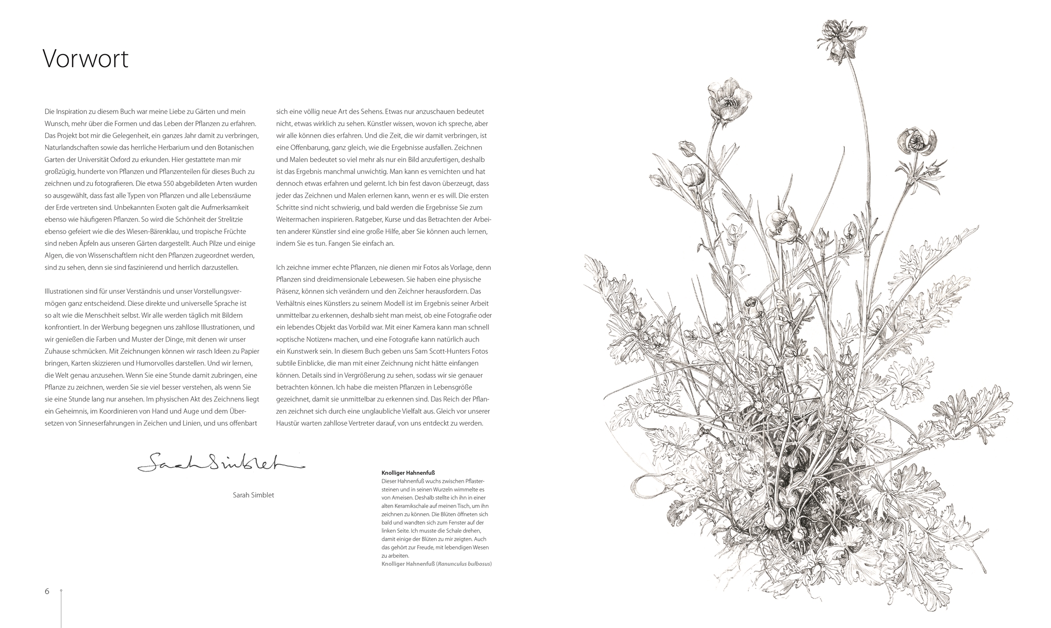 Botanik für Künstler