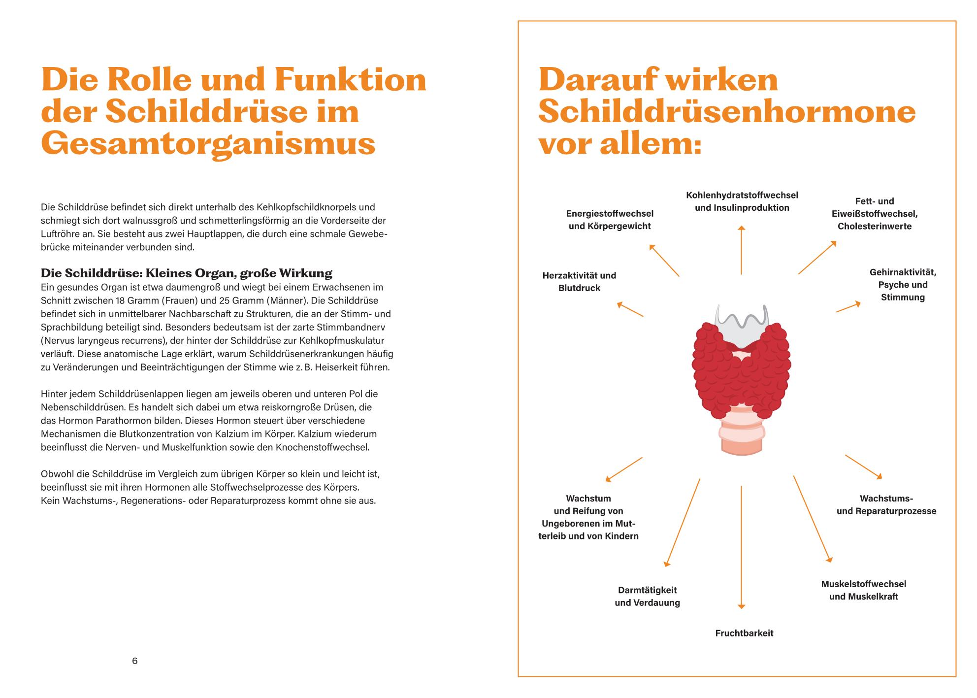 Soforthilfe bei Schilddrüsenunterfunktion und Hashimoto