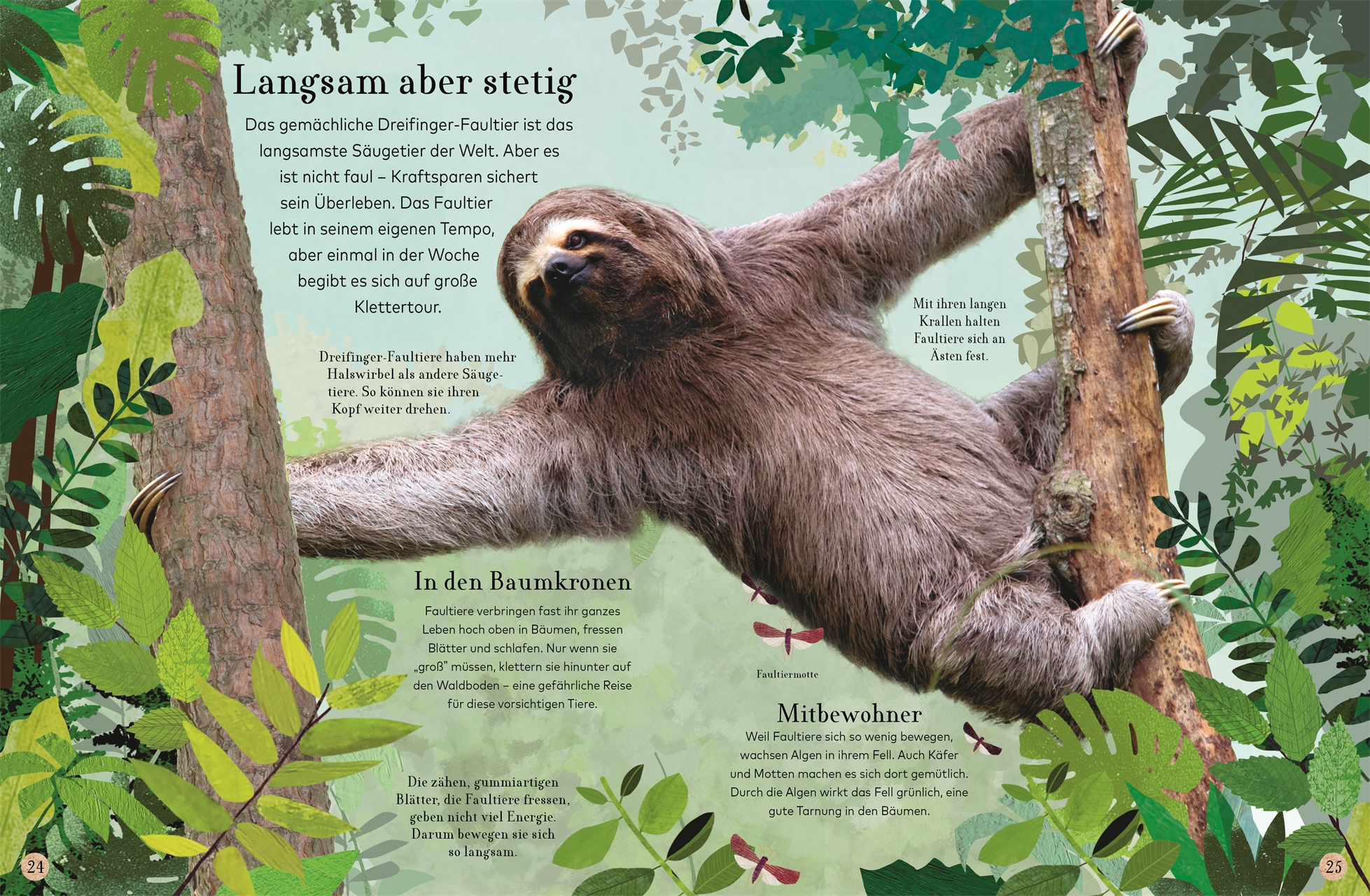 Wilde Tiere Wilde Tiere