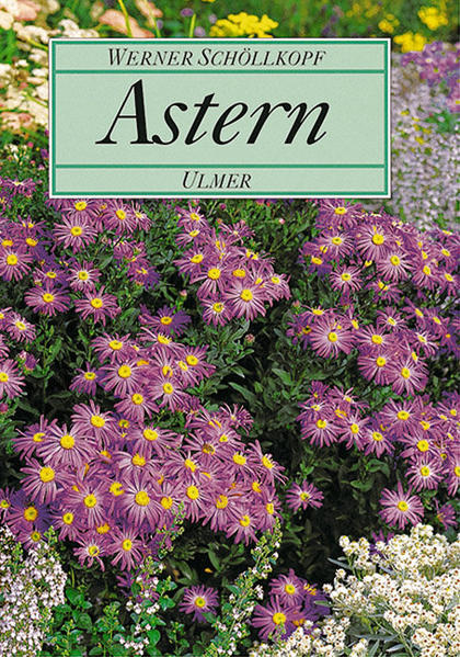 Astern