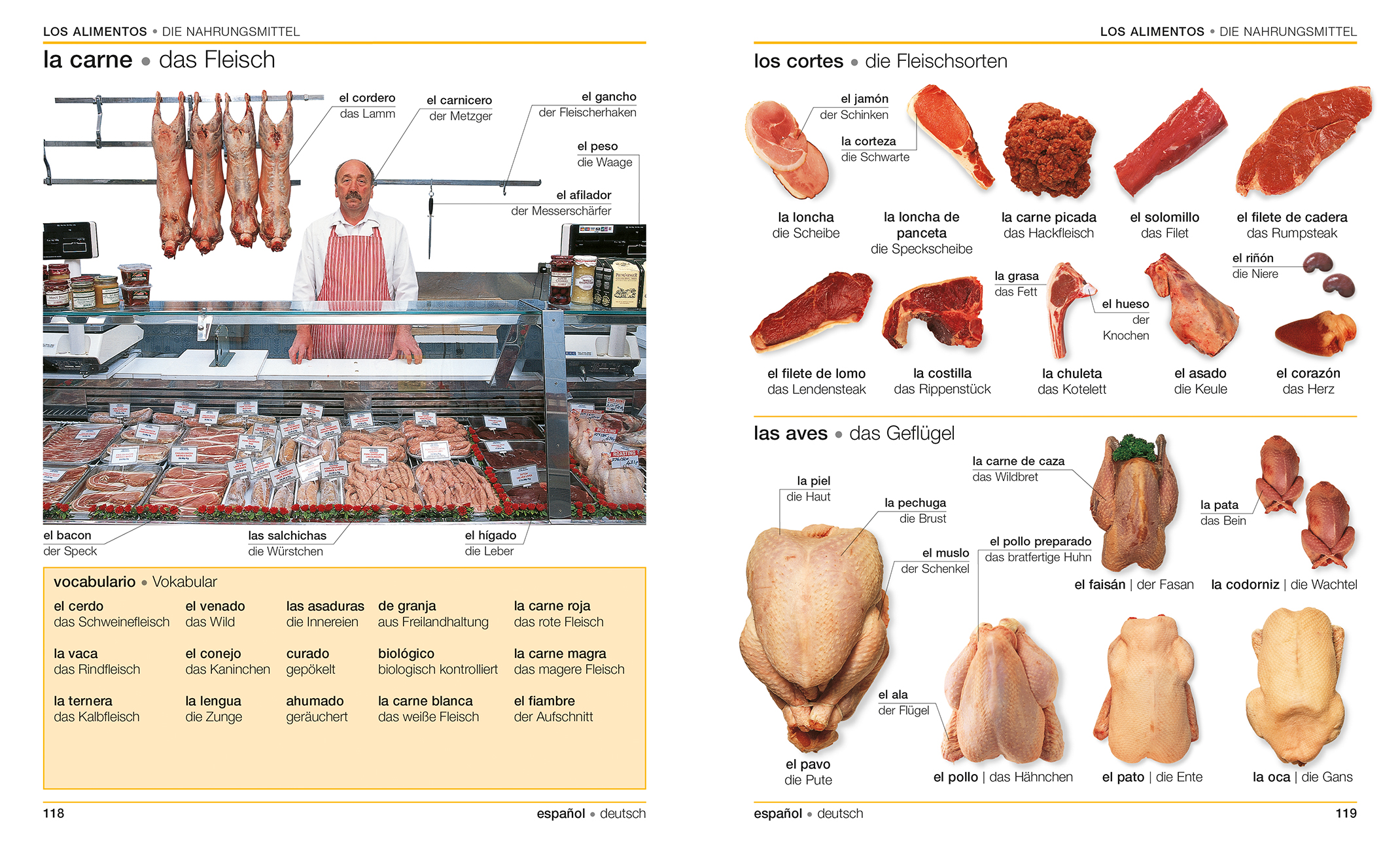 Visuelles Wörterbuch Spanisch Deutsch Visuelles Wörterbuch Spanisch Deutsch