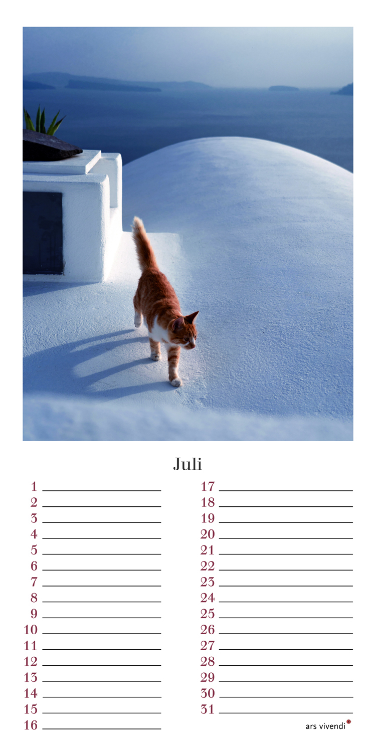 Geburtstagskalender Katzen