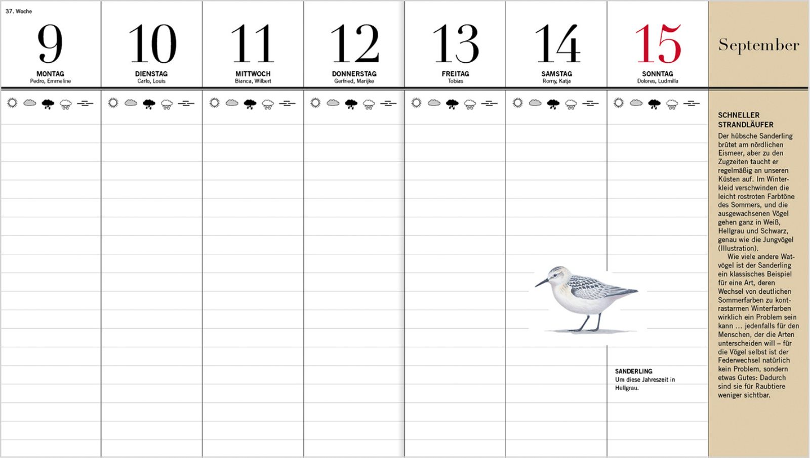 Der illustrierte Vogelkalender 2025