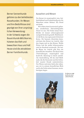 Berner Sennenhund Berner Sennenhund