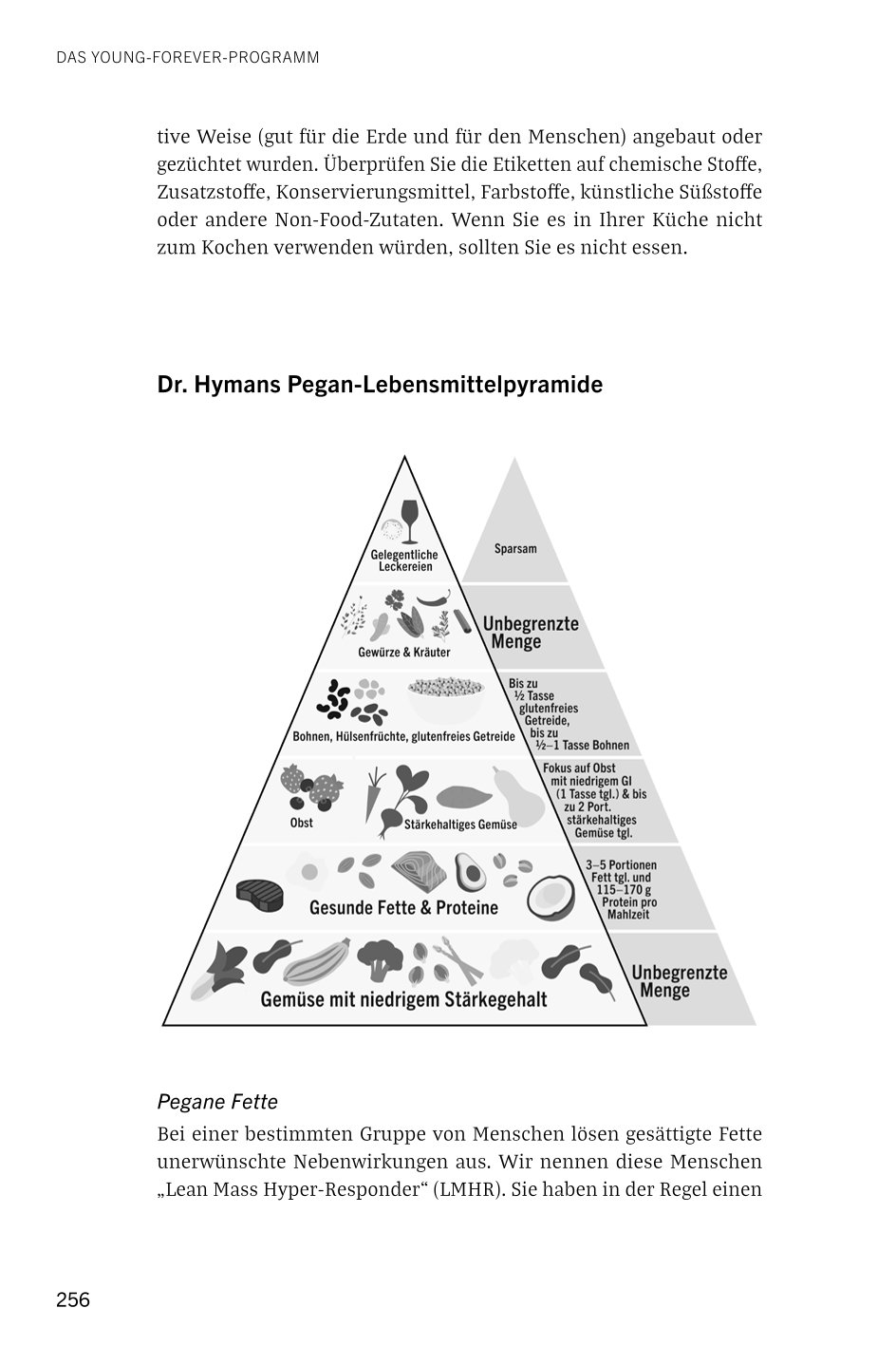 Young Forever - auf ewig jung