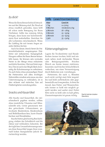 Berner Sennenhund Berner Sennenhund