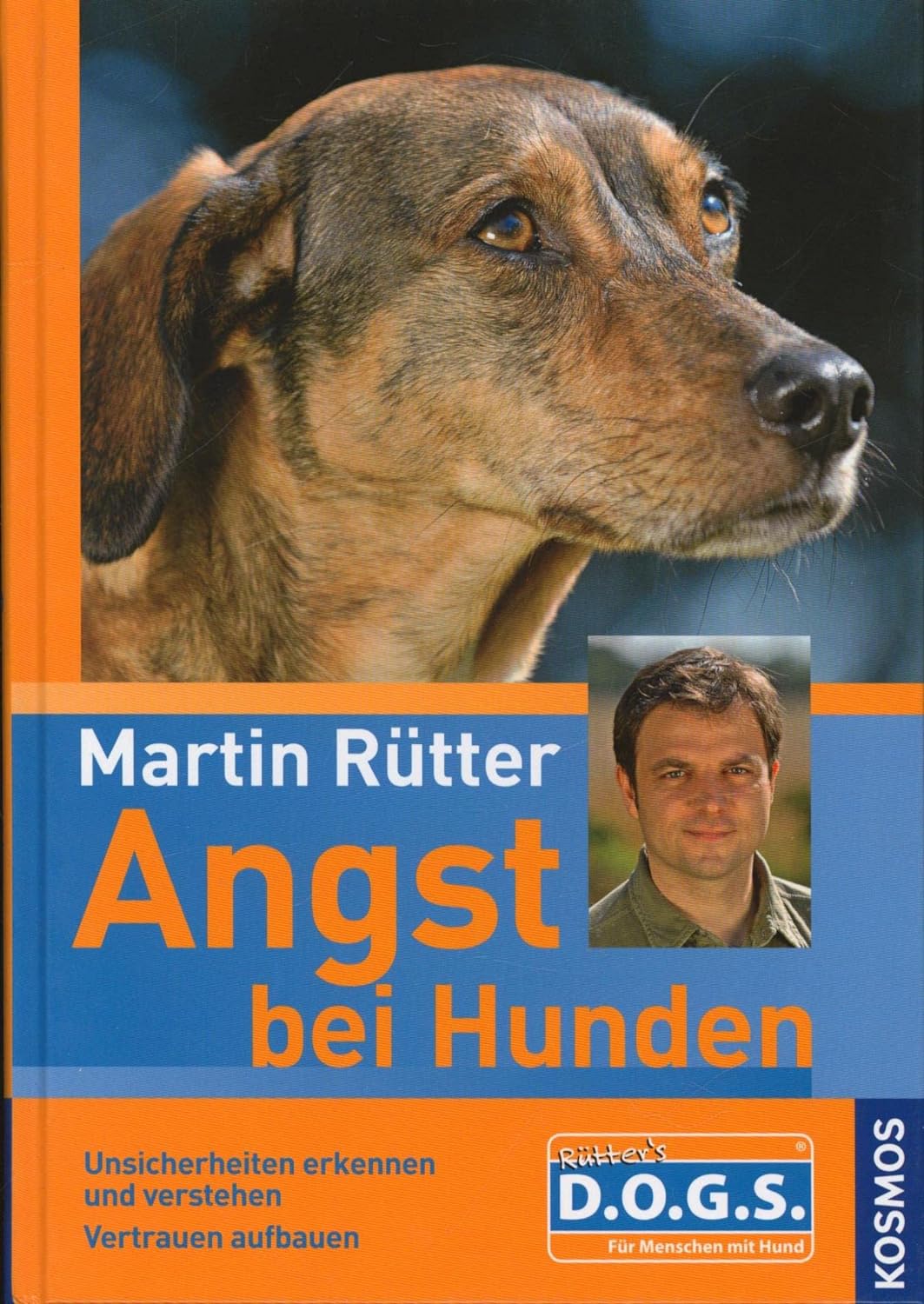 Angst bei Hunden