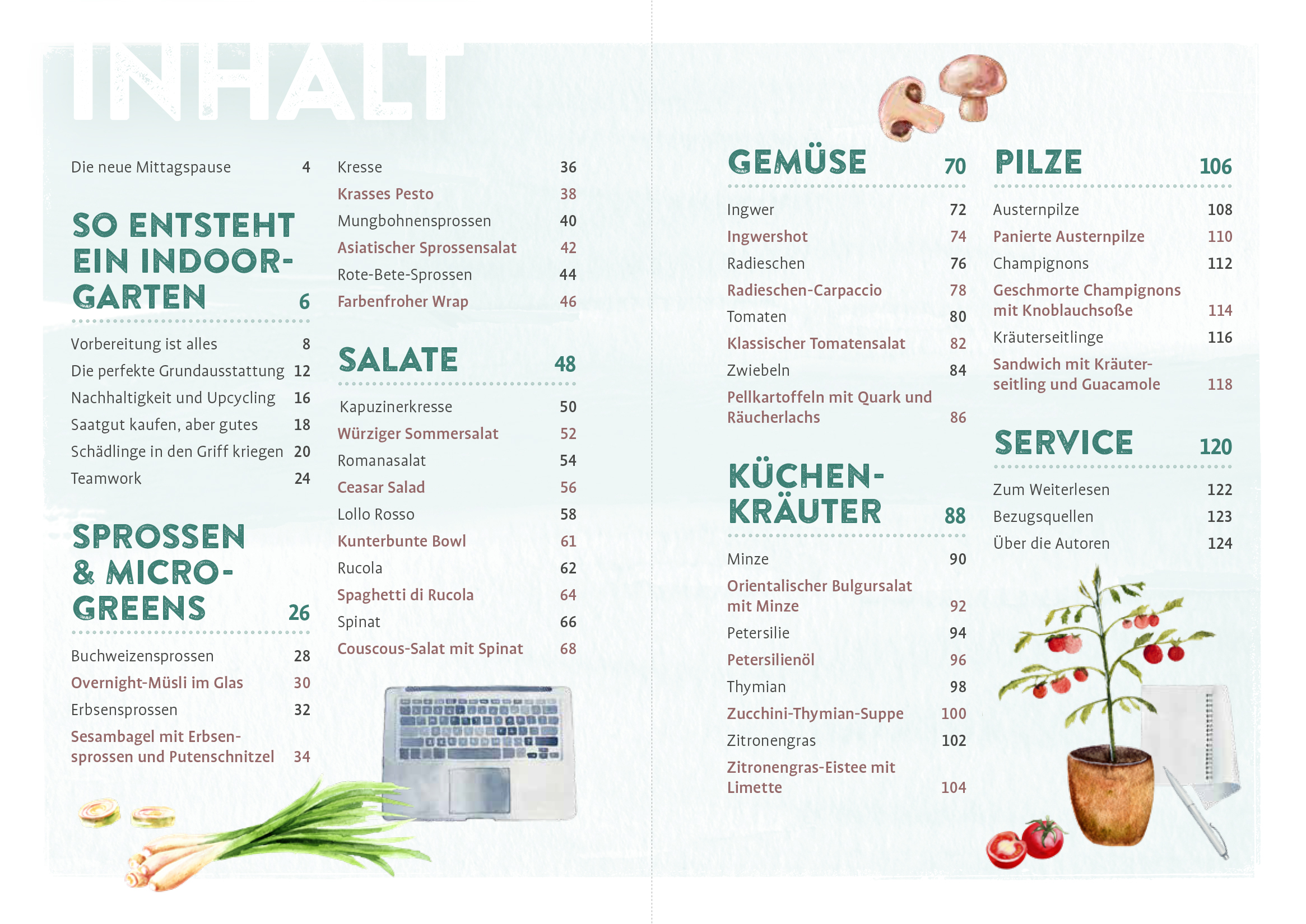 Endlich Mittagspause! Indoor-Gärtnern zwischen Mails und Meetings mit Pflücksalat, Sprossen & Co. Endlich Mittagspause! Indoor-Gärtnern zwischen Mails und Meetings mit Pflücksalat, Sprossen & Co.
