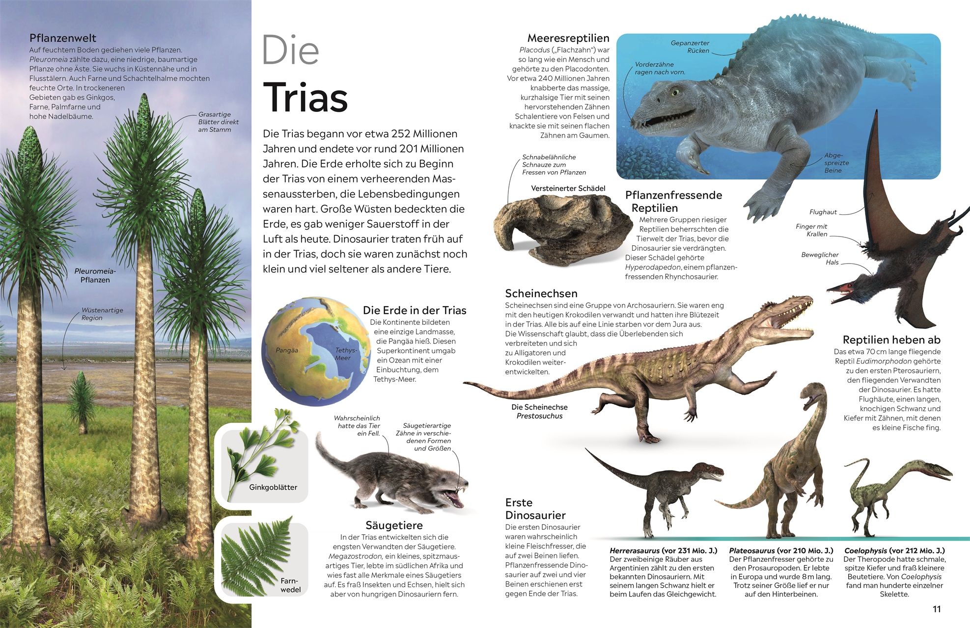 memo Wissen. Dinosaurier