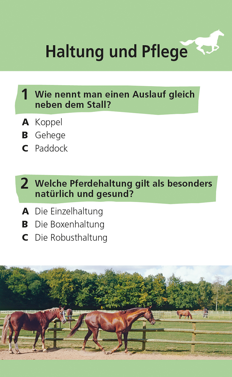 memo Quiz. Pferde