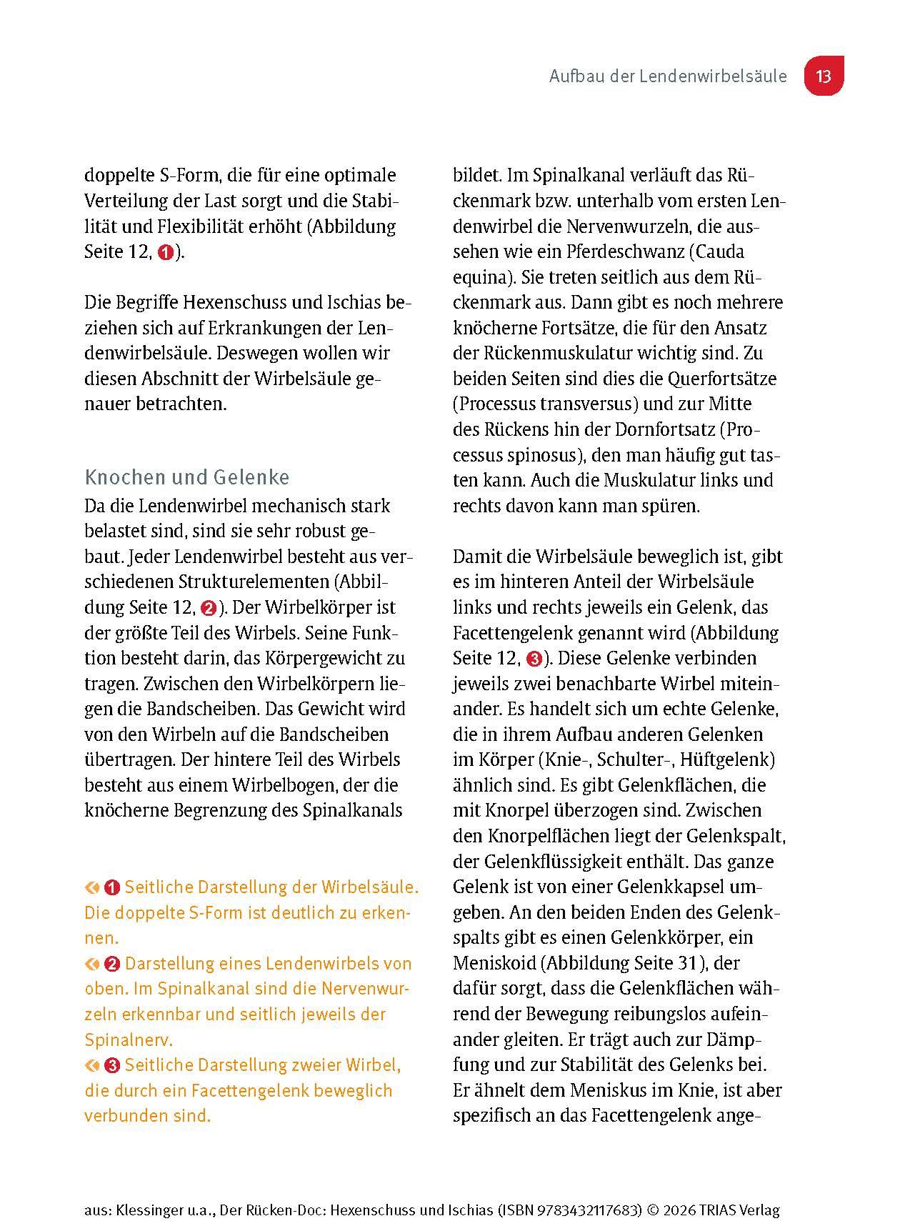 Der Rücken-Doc: Hexenschuss und Ischias