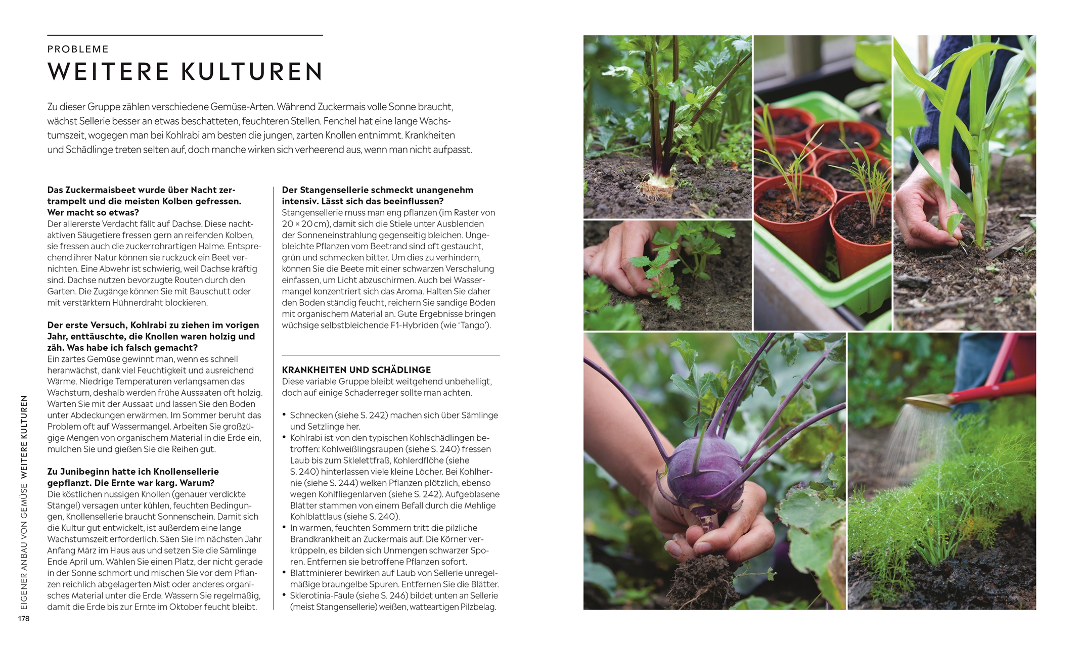 Kleiner Garten - große Ernte Kleiner Garten - große Ernte