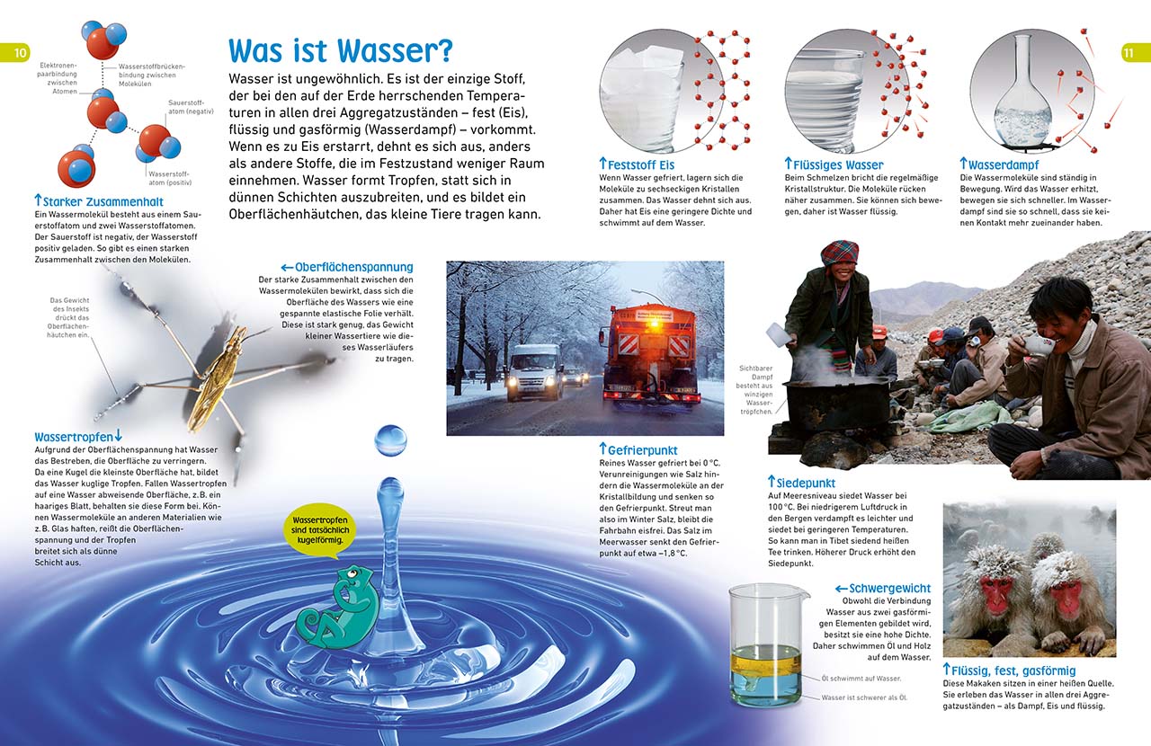 memo Wissen entdecken. Wasser