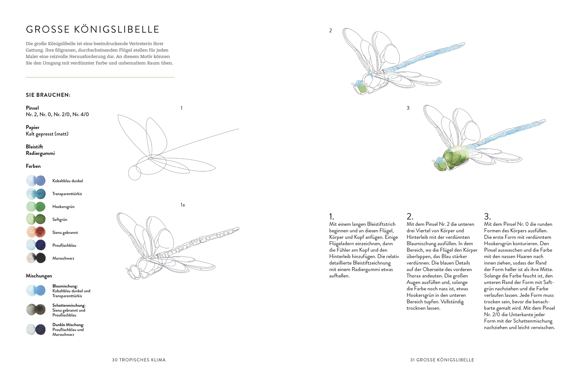 Tiere und Pflanzen malen mit Watercolor