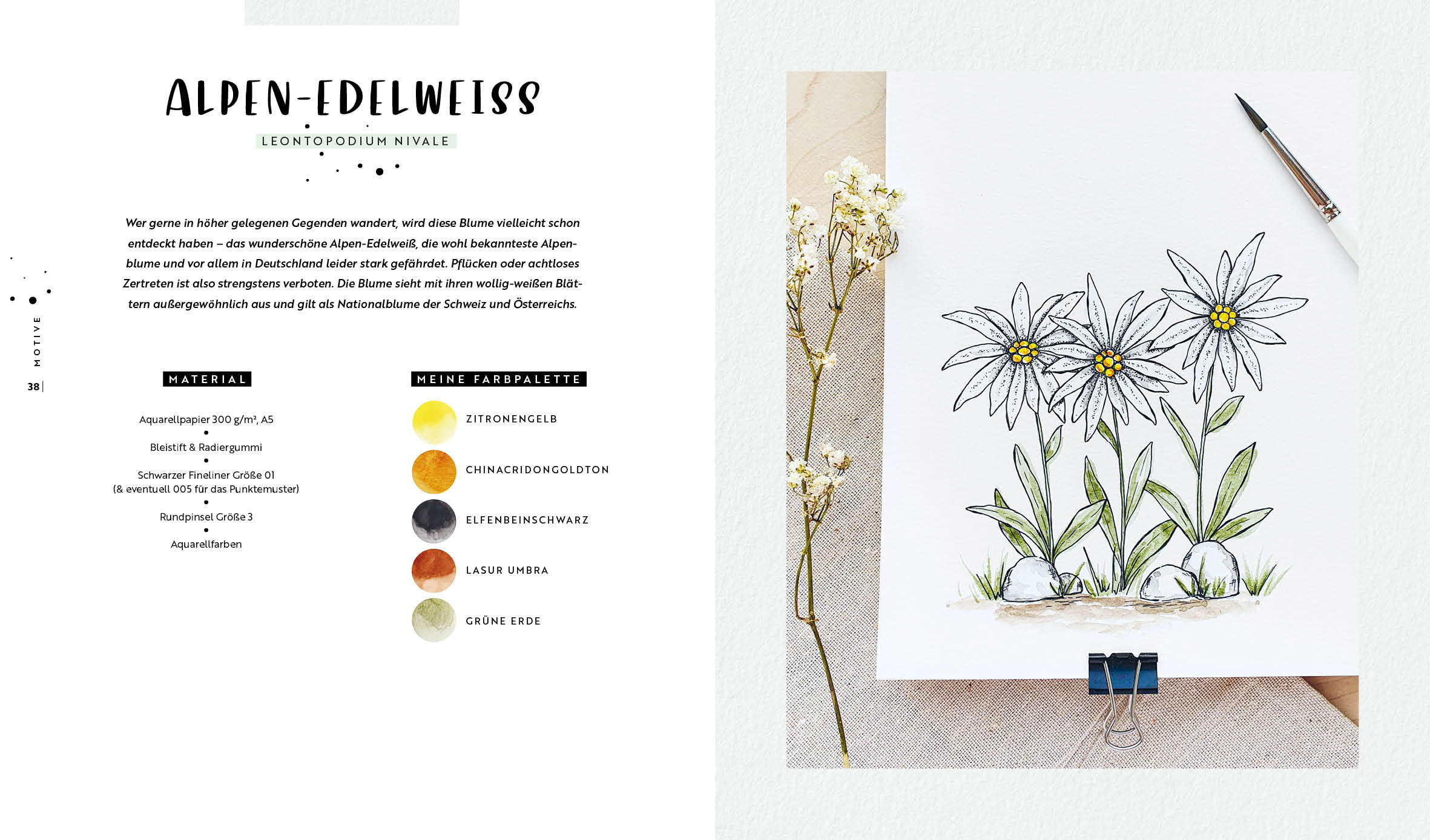 Watercolor – Florale Motive around the world: von heimisch bis exotisch