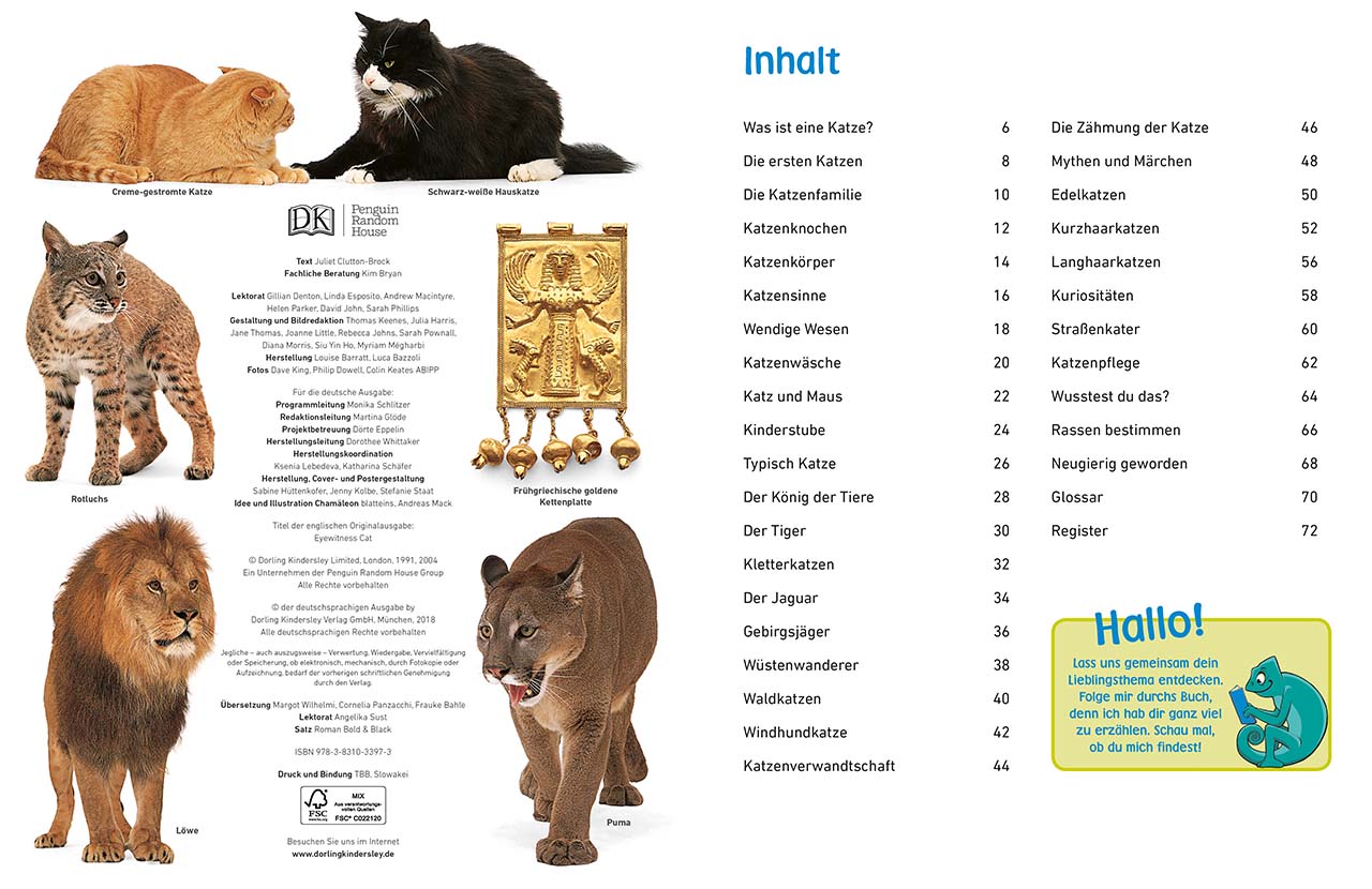 memo Wissen entdecken. Katzen memo Wissen entdecken. Katzen