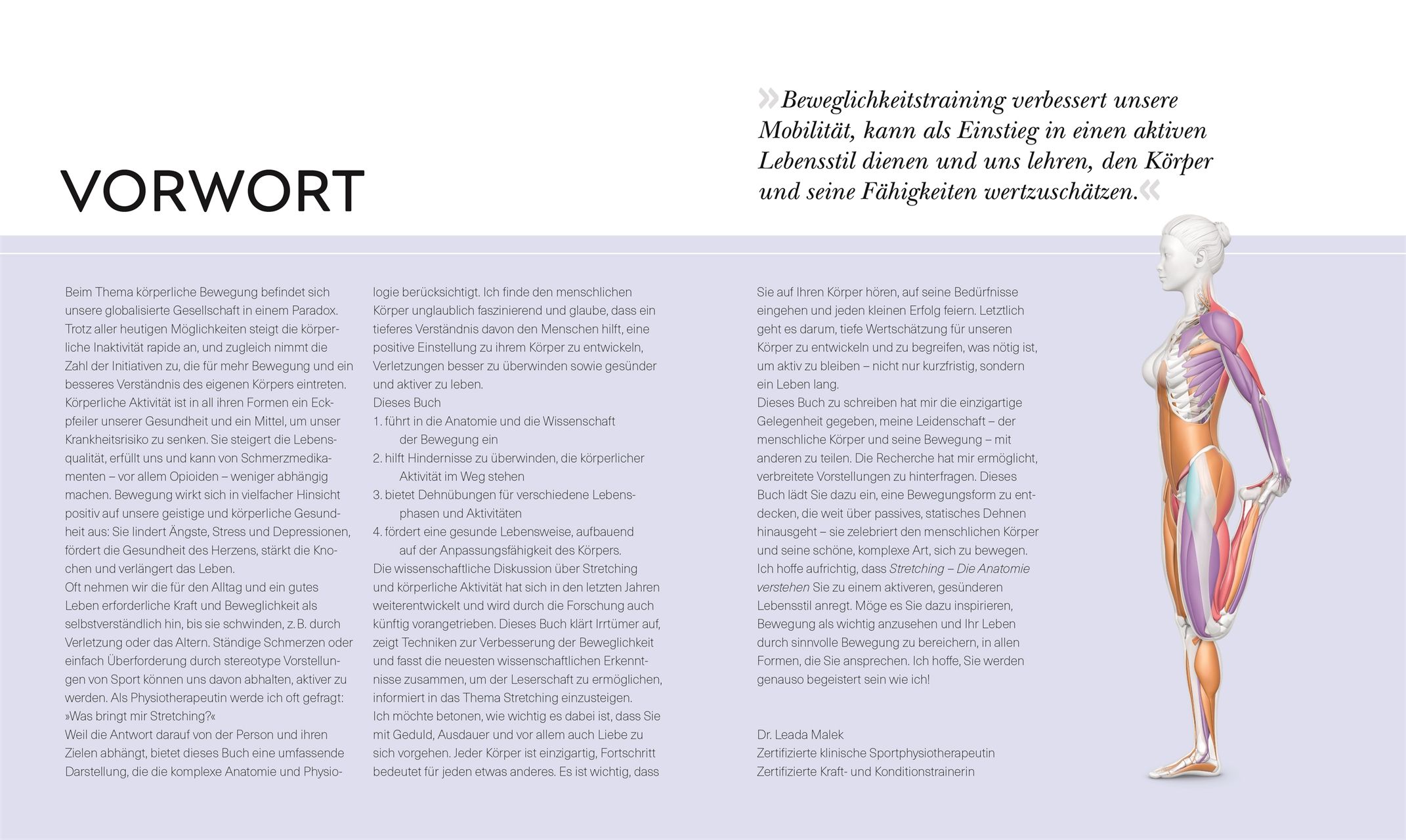 Stretching - Die Anatomie verstehen