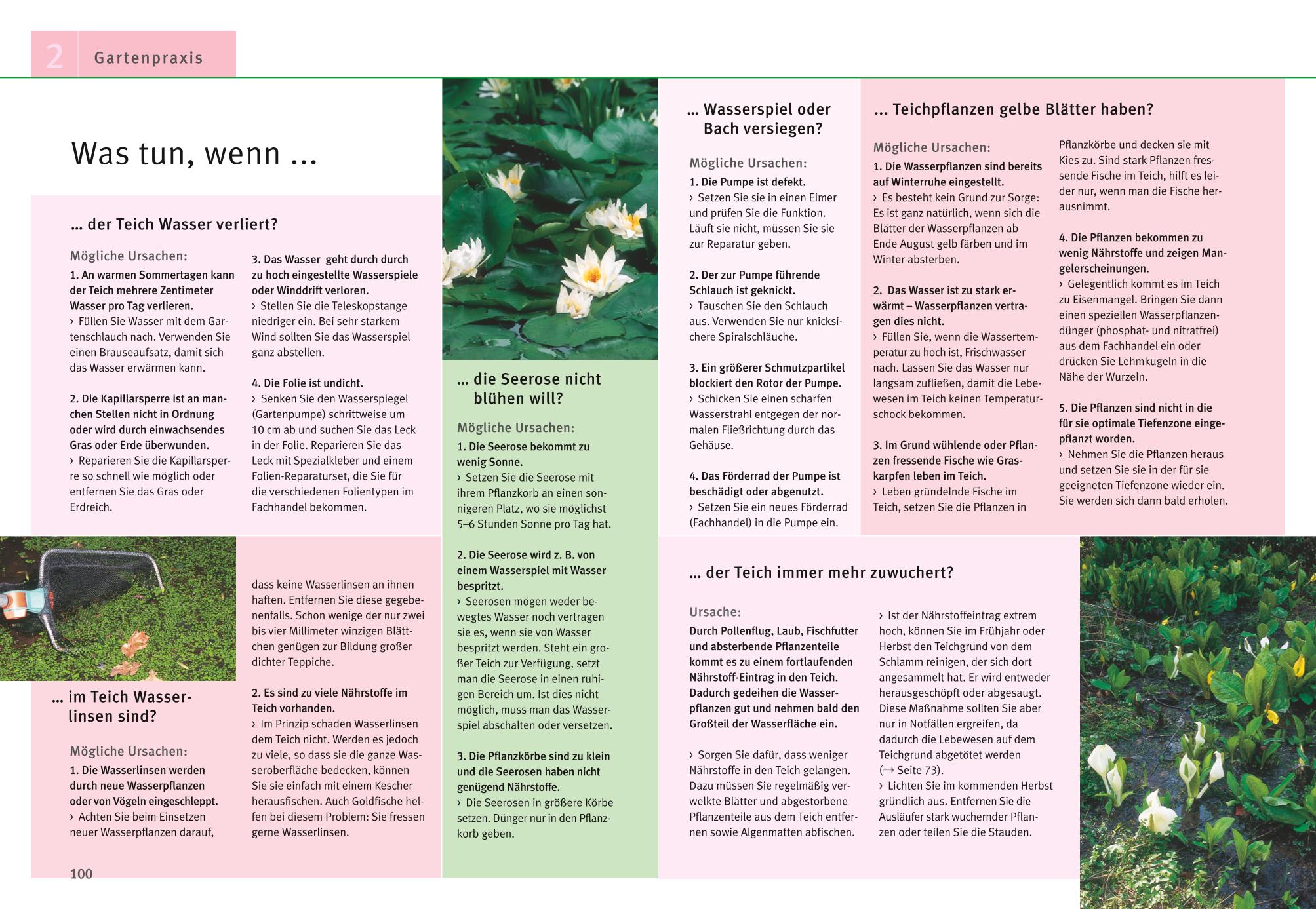 Gartenteiche anlegen und gestalten Gartenteiche anlegen und gestalten