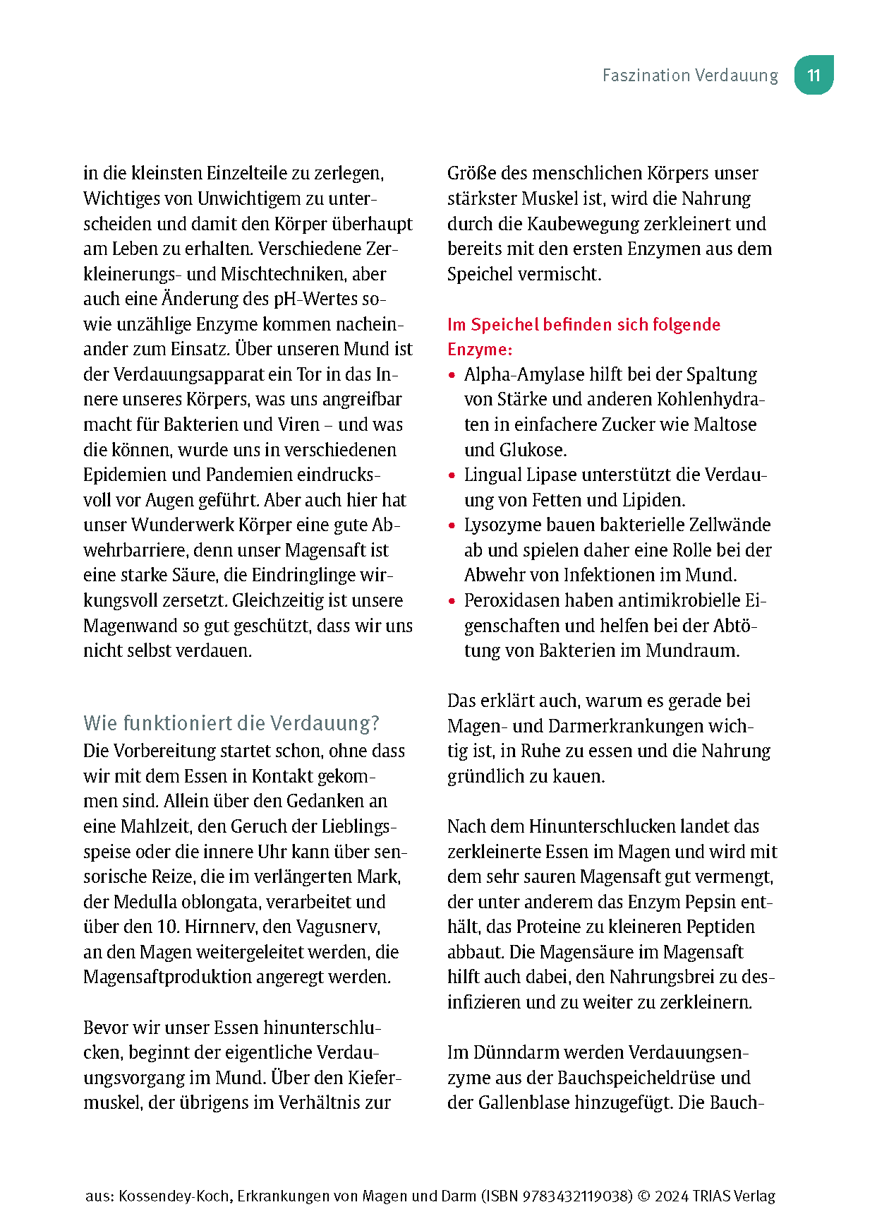 Naturheilpraxis: Erkrankungen von Magen und Darm Naturheilpraxis: Erkrankungen von Magen und Darm