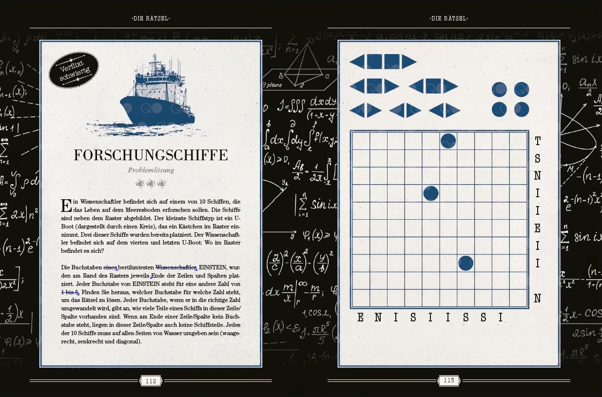 Einsteins Rätselbuch – Logikrätsel für geniale Köpfe