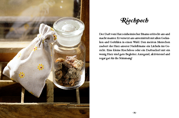 Das große kleine Buch: Harz- und Pechsalben