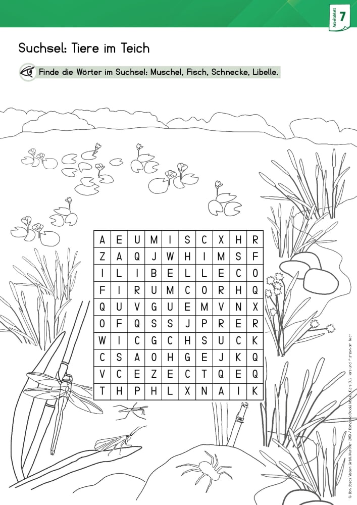 Arbeitsmaterial Grundschule. Sachunterricht: Tiere und Pflanzen am Teich.