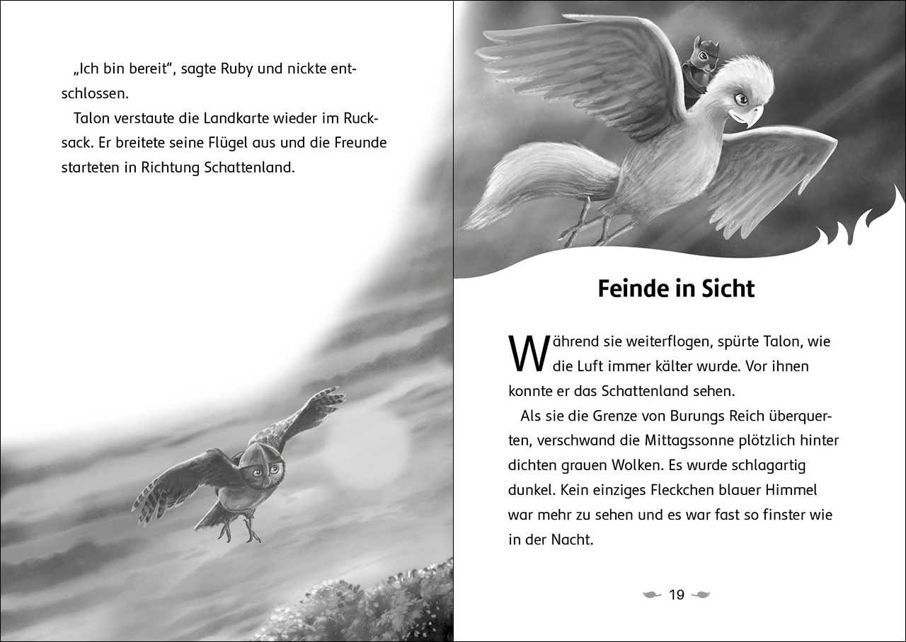 Der letzte Feuerfalke und das Schattenland (Band 5)