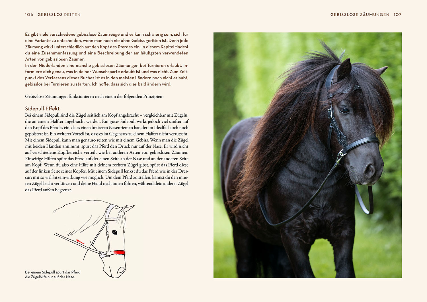 Gebisslos Reiten
