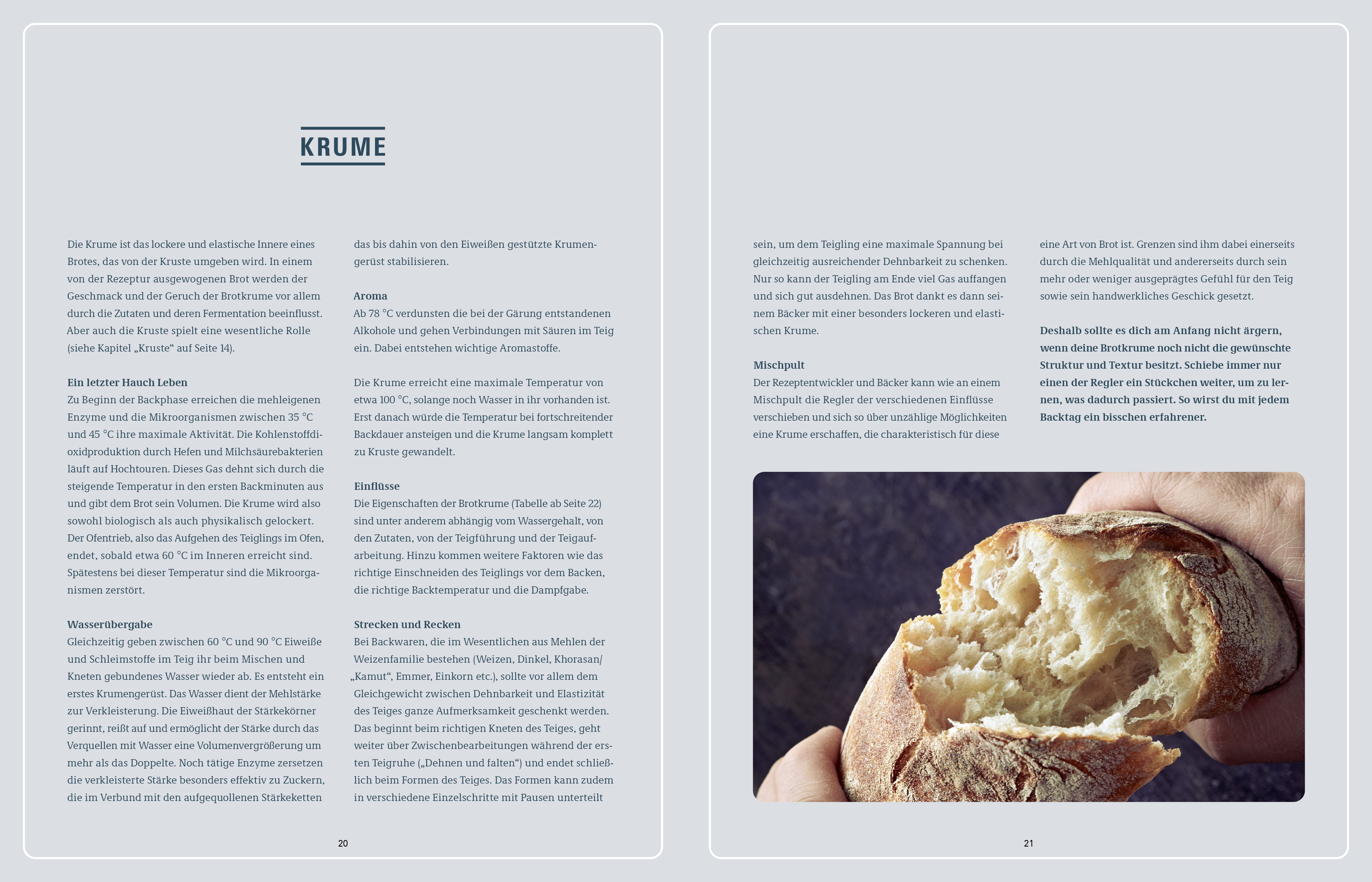Krume und Kruste – Brot backen in Perfektion