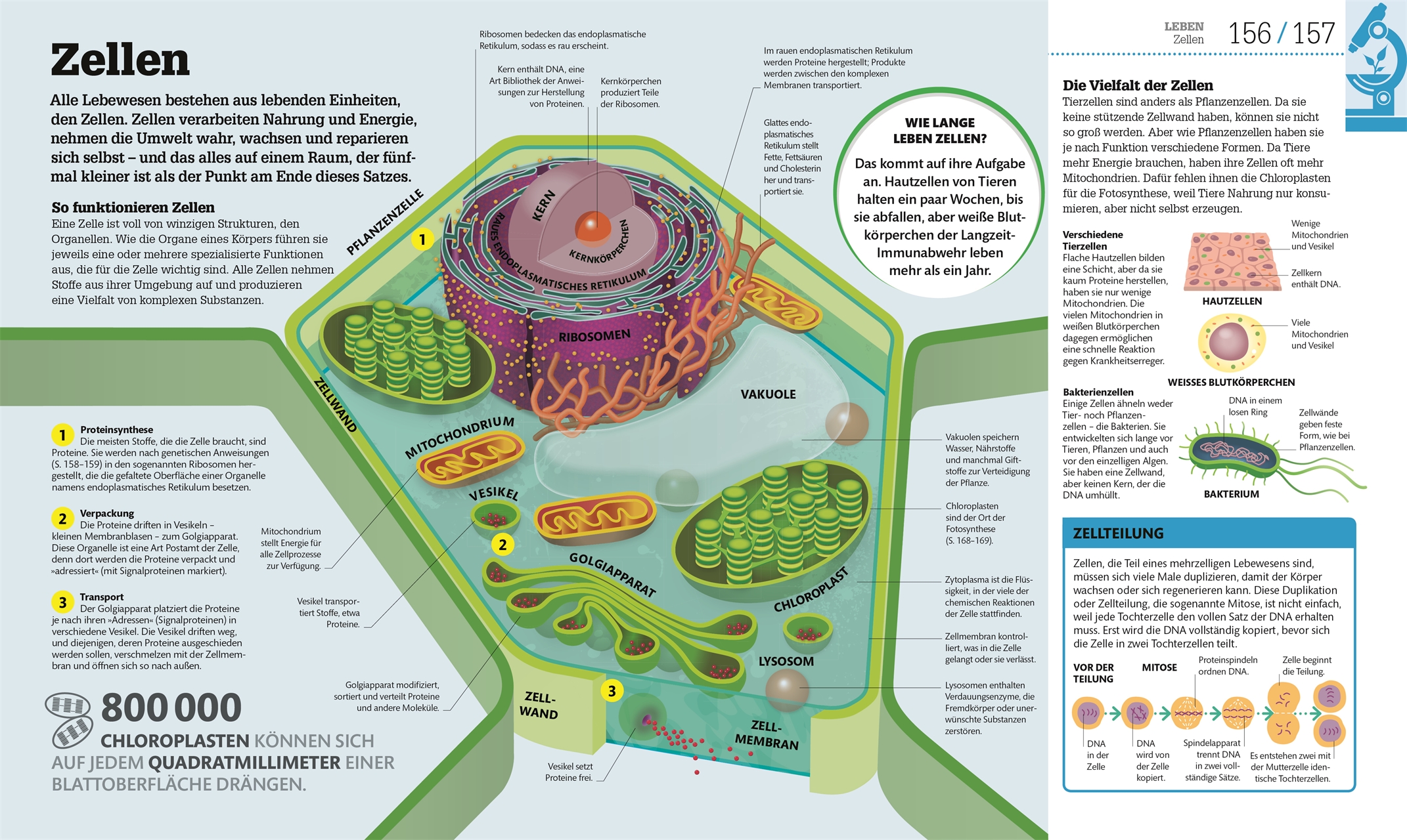 #dkinfografik. Naturwissenschaften #dkinfografik. Naturwissenschaften