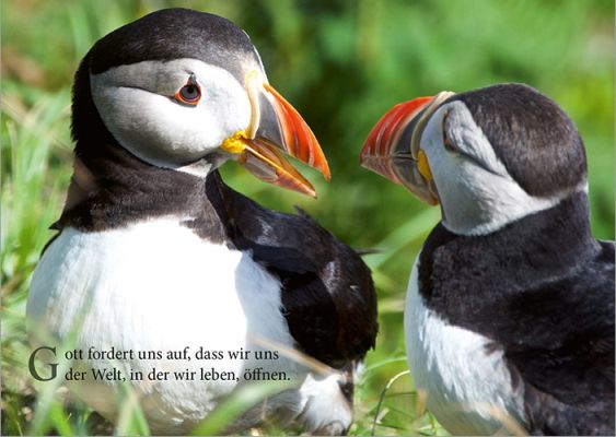 Im Herzen bleibt ein Klang - Postkartenset