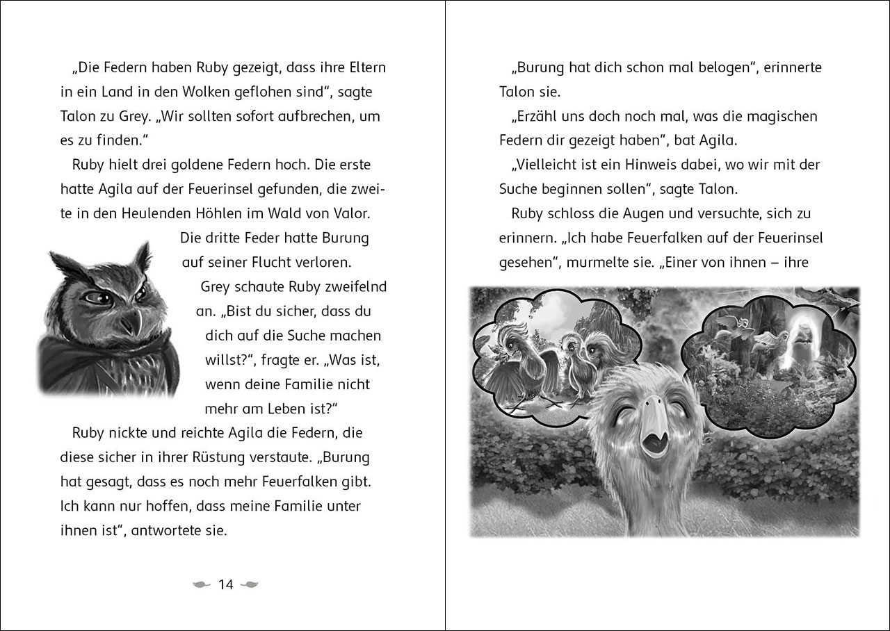 Der letzte Feuerfalke und das Wolkenland (Band 7)