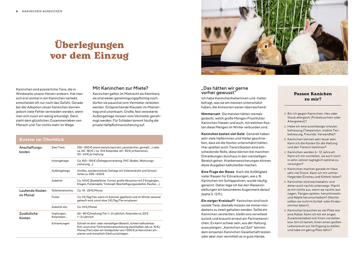 Zwergkaninchen