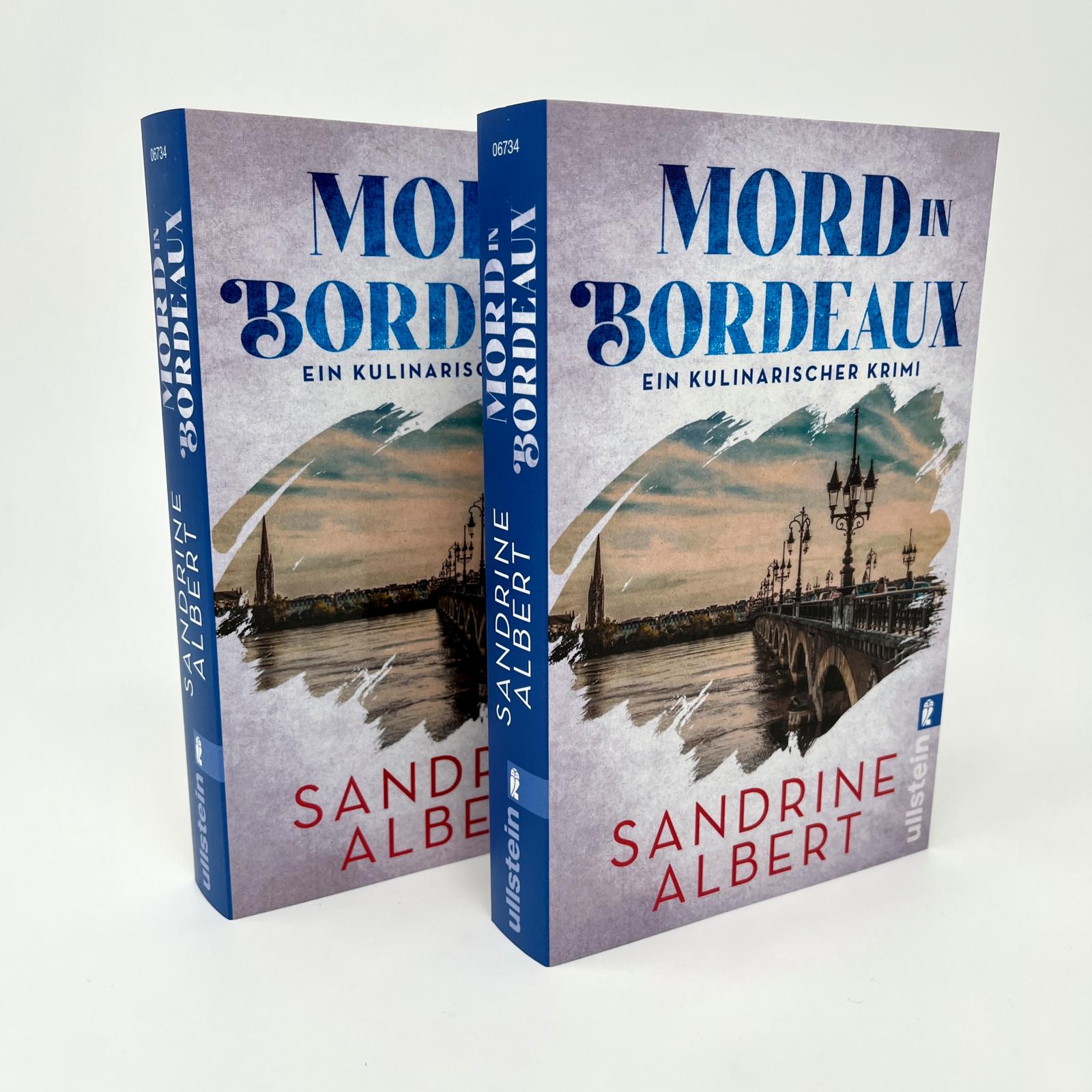 Mord in Bordeaux (Claire Molinet ermittelt 2) Mord in Bordeaux (Claire Molinet ermittelt 2)
