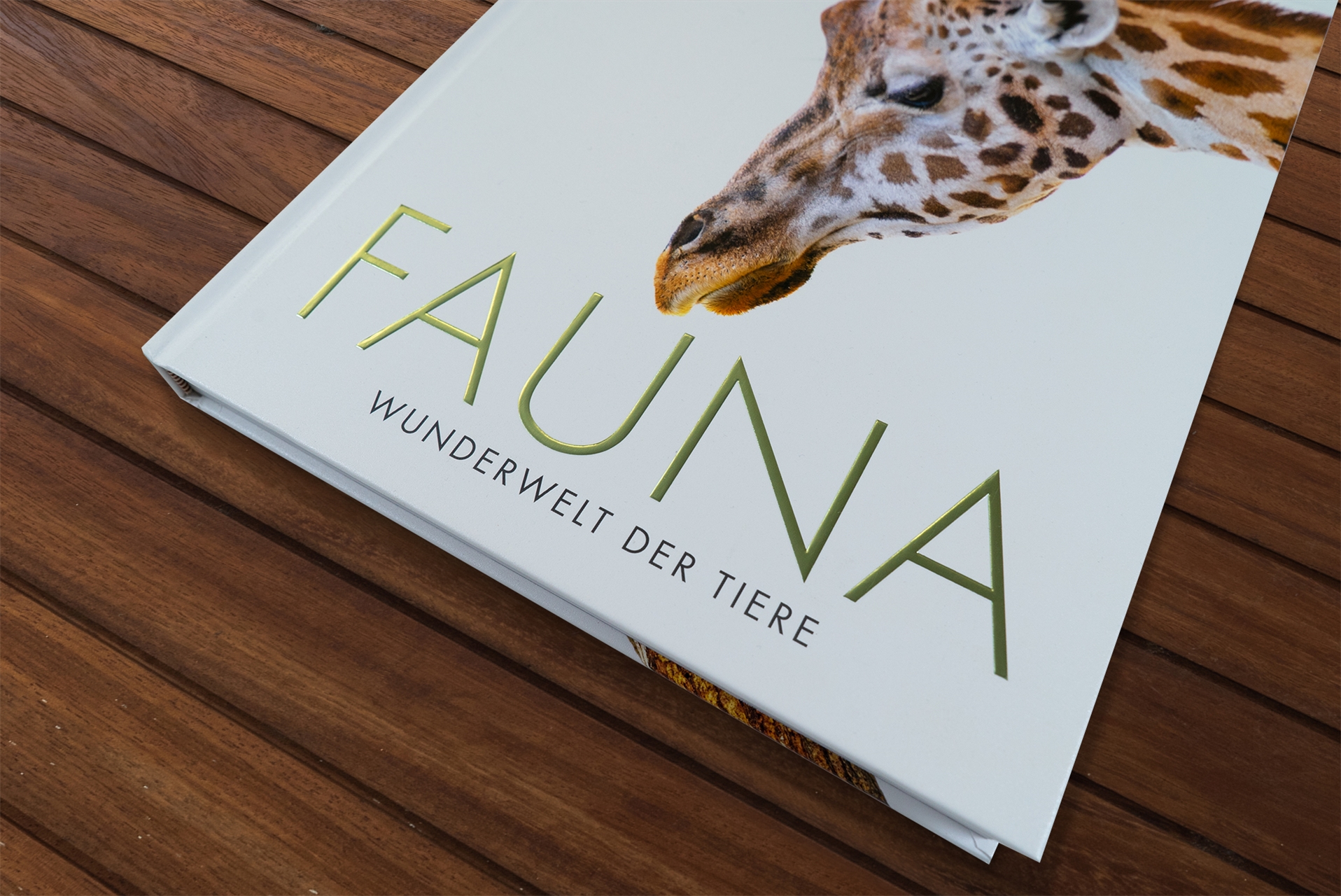 Fauna – Wunderwelt der Tiere