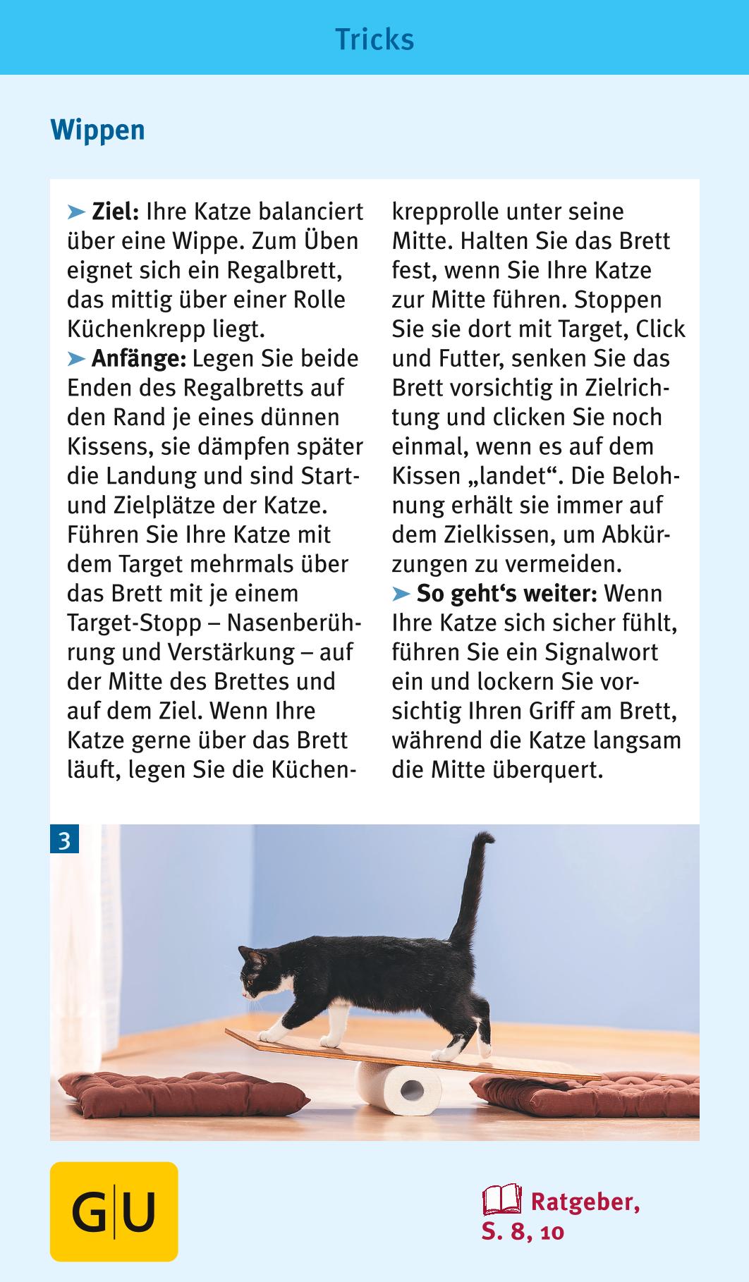 Katzen-Clicker-Box Katzen-Clicker-Box