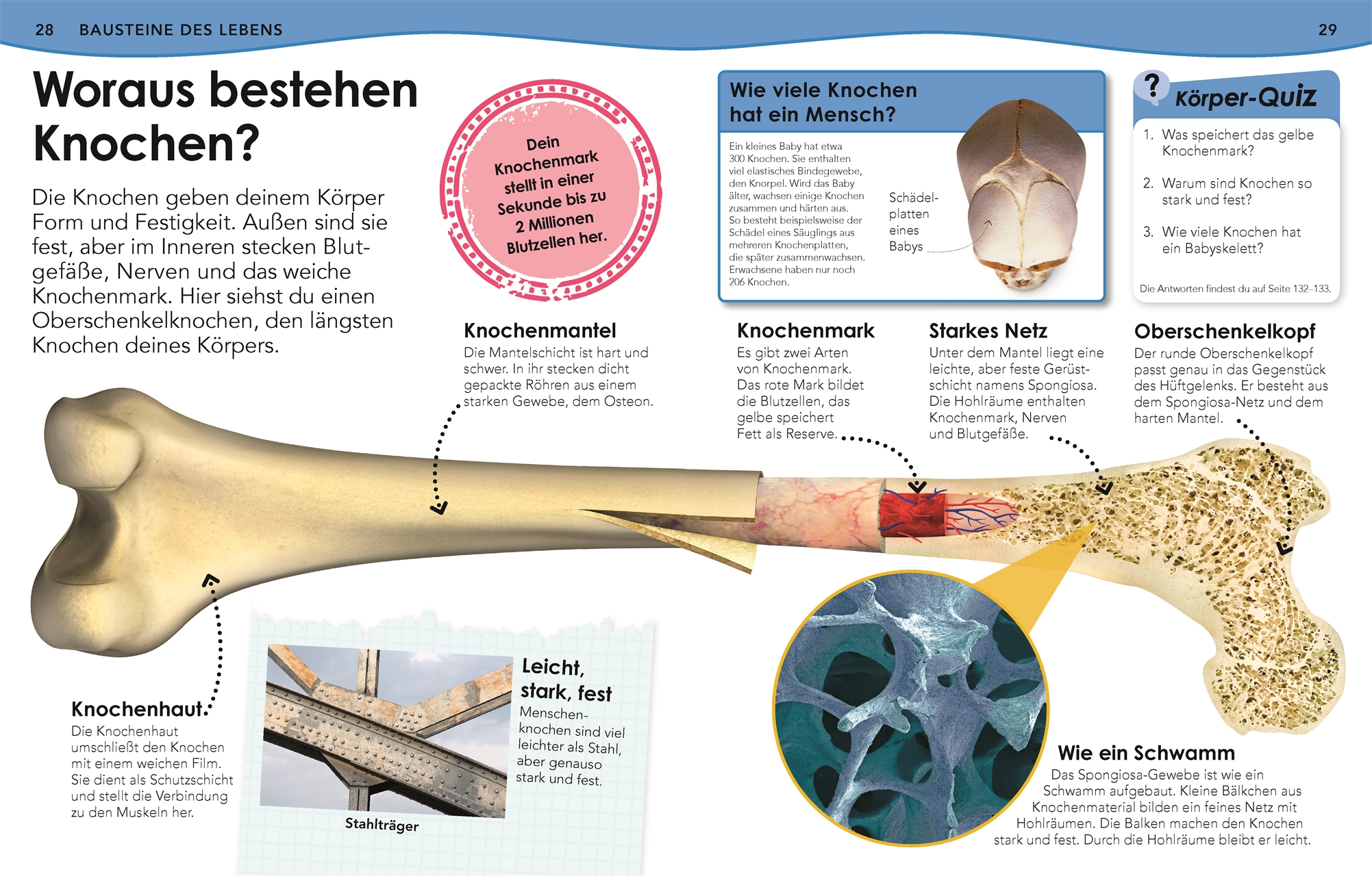 Weshalb? Deshalb! Körper Weshalb? Deshalb! Körper